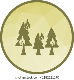 Fire in Forest
