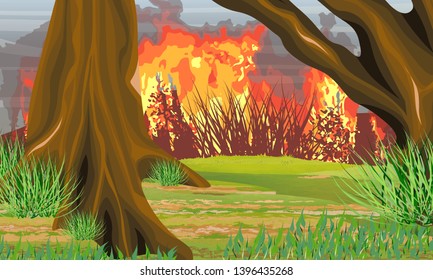 Fire in the forest, view from the ground. The trunks of the trees in the fire. Wildfire. Catastrophe. Realistic Vector Landscape