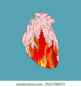 Feuer im Herzen. Flamme in einem anatomischen Herzen. Konzept brennendes Herz Symbol der Hoffnung