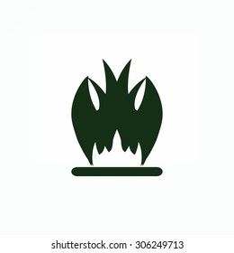Fire icon