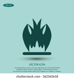 Fire icon