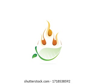 Fire and leaf logo design template