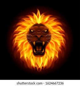 Fire lion head isolated on black background