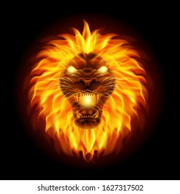 Fire lion head isolated on black background