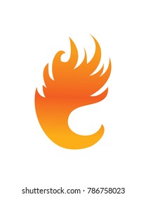Fire, Logo, icon, Template