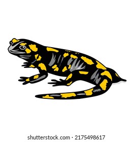 ilustración vectorial de la lagarto de salamandra negra con aspecto de incendio Clipart 