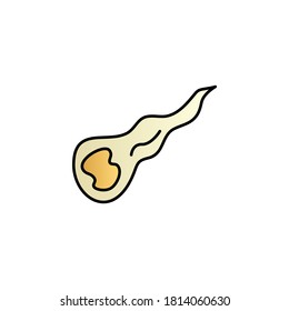 Fire, meteor, space color gradient vector icon