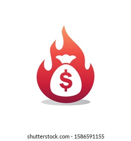 Fire Money Icon and Logo Vector