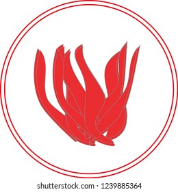 Fire. No fires. Fire danger.
