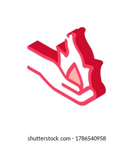 Fire on Hand Symbol Icon Vector. Isometric Fire on Hand Symbol sign. color isolated symbol illustration