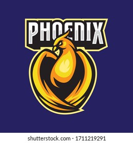Fire Phoenix Bird esport mascot emblem logo design vector template