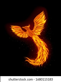 Fire phoenix mascot logo design