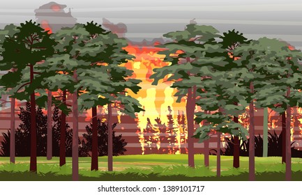 Fire in the pine forest. Burning trees. Wildfire. Catastrophe. Realistic Vector Landscape