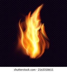 Fire PNG. Realistic Fire flame with transparent background. Burning red wildfire flame, blazing fiery spurts of flame, burn bonfire silhouette