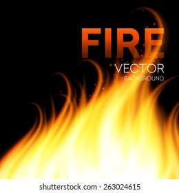 Fire realistic background. Vector illustration 