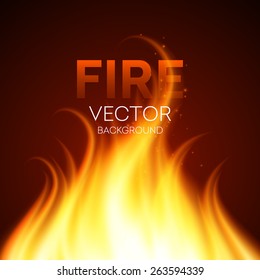 Fire realistic background. Vector illustration 