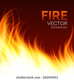 Fire realistic background. Vector illustration 
