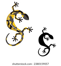 Fire Salamander Animal Color. Vector Illustration.