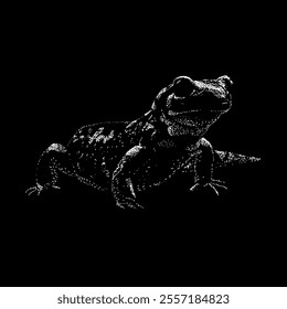 fire salamander hand drawing vector isolated on black background.