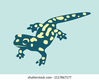 Fire salamander. Zoological color illustration. Vector isolated on blue background. 