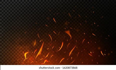 Fire sparks on dark transparent background. Flying up sparks, burning fire particles with smoke texture. Realistic flame effect. Vector