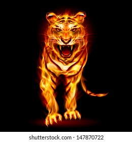 Fire tiger. Illustration on black background for design