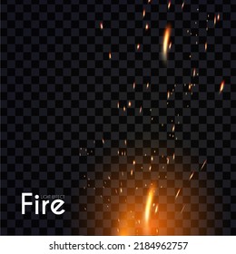 Fuego. Efecto de luz transparente con destellos voladores. Movimiento ligero