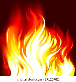 fire vector illustration