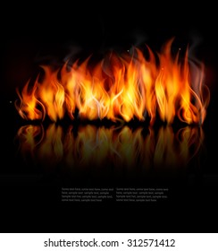 Fire vector on black background. Vector.