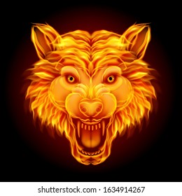 Fire wolf head isolated on black background