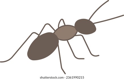 fireant ant atta black ant insect