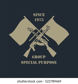Firearm logo template. Guns, rifles badge. Flat design. Vector illustration