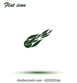 Fireball or comet flying. Comet fire falling with blazing fireball full of flames. Flat icon.