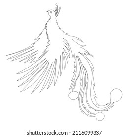 firebird one line drawing ,vector, isolated