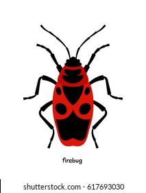 Firebug  - bug with bright color, eating plant juice