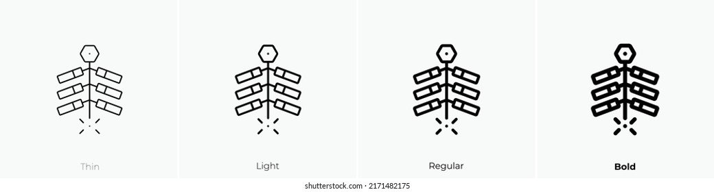 firecracker icon. Thin, Light Regular And Bold style design isolated on white background