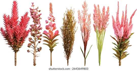Firecracker plant Russelia equisetiformis coral fountain coralblow coral plant fountainbush cutout tree vector illustration, ornamental shrub, pollinator friendly garden.