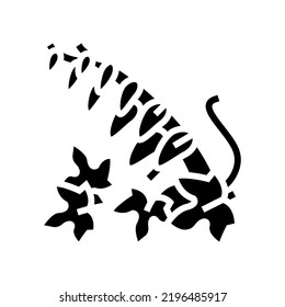 firecracker vine glyph icon vector. firecracker vine sign. isolated symbol illustration