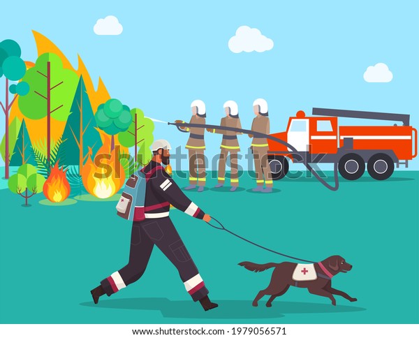 Firefighters extinguish outdoor fire. Firemen\
in uniform use extinguisher and water from hose and fire engine to\
extinguish fire around forest. Seasonal firefighting burning trees\
danger to\
territory