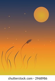 Fireflies by a pond in the evening sun