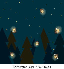 fireflies fly in the forest at night