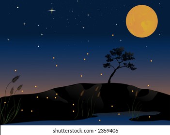 fireflies and a full moon on a summer evening