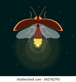 Firefly design template. Lightning bug glowworm with its wings open. Isolated vector illustration. It can be used as a logo, icon, pictogram or an infographic element. 