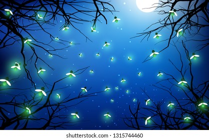 firefly flying in the jungle in full moon night