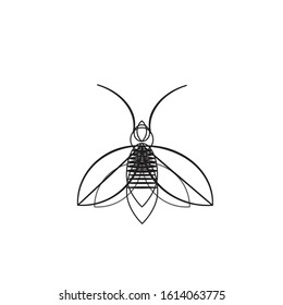 Firefly Icon Logo Vector Symbol.
Line art