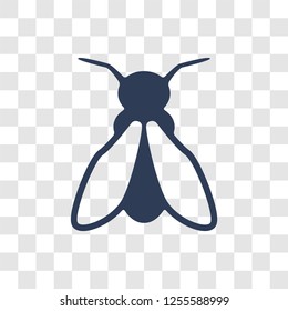 Firefly icon. Trendy Firefly logo concept on transparent background from animals   collection
