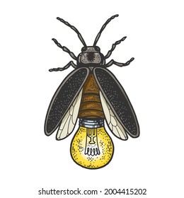 Firefly insect beetle with lamp bulb color line art sketch engraving vector illustration. T-shirt apparel print design. Scratch board imitation. Black and white hand drawn image.