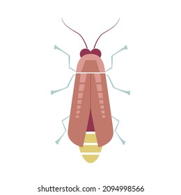 Firefly insect. Decorative design. Geometric insect vector illustration in flat style