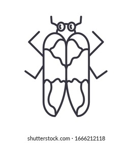 firefly insect icon over white background, line detail style, vector illustration