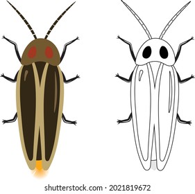 Firefly or Lampyridae Vector Illustration Fill and Outline Isolated on White Background. Insects Bugs Worms Pest and Flies.Entomology or Pest Control Business graphic elements.